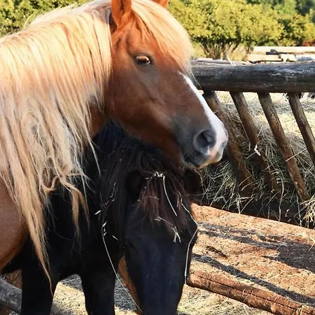 Monte Rosso Bed & Breakfast 4*