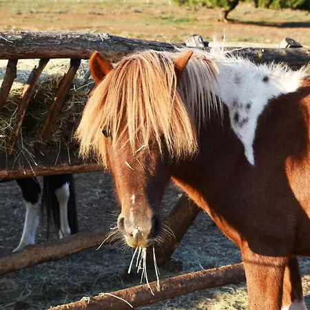 Monte Rosso فندق مبيت وإفطار بوريتش