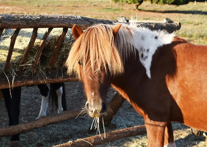 Monte Rosso Panzió Poreč