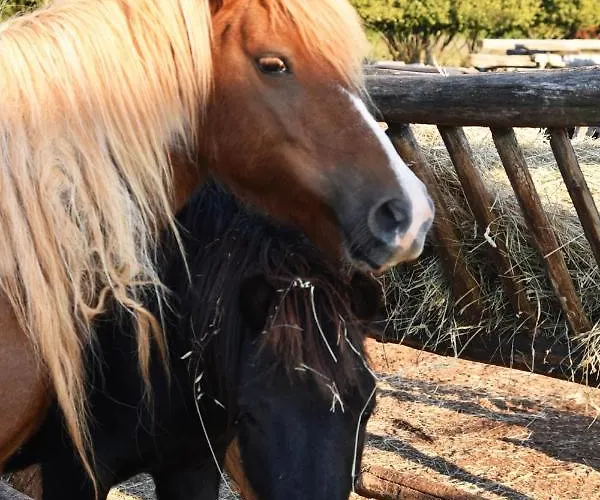 Monte Rosso Oda ve Kahvaltı 4*